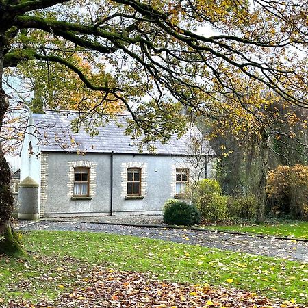 Country Garden House Holiday Homes Ballymoney Exterior foto